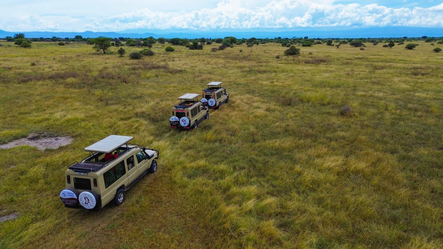 Kipe Adventure 12