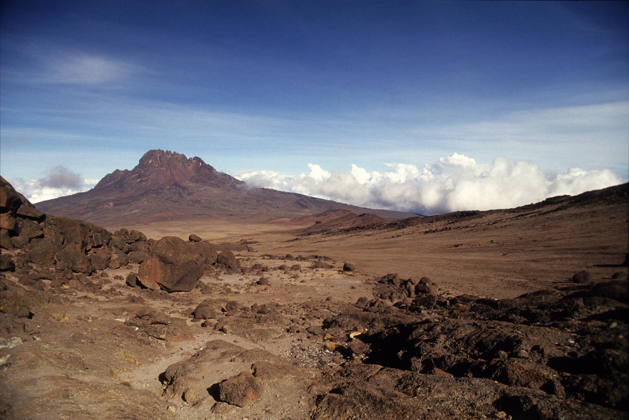 KILICLIMB AFRICA SAFARIS 15