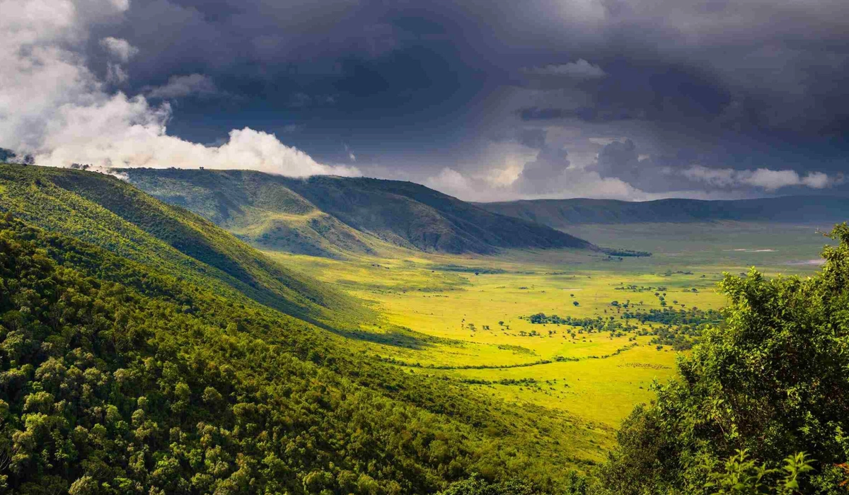 KILICLIMB AFRICA SAFARIS 19