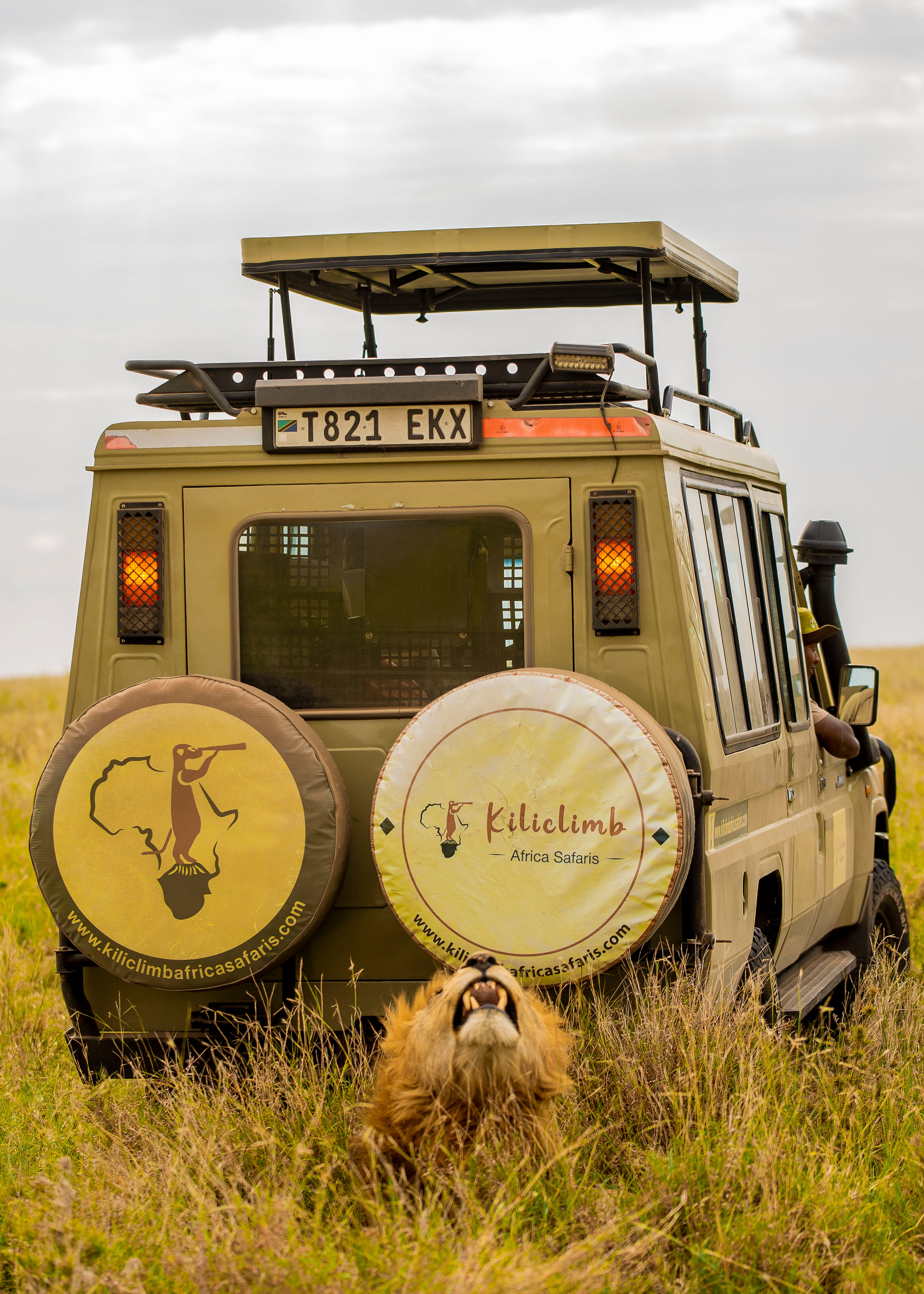 KILICLIMB AFRICA SAFARIS 12