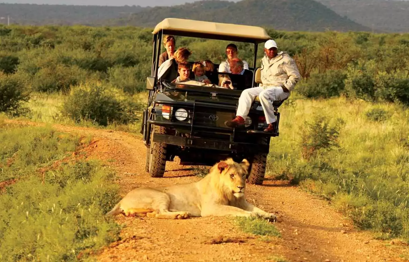 African Welcome Safaris 4