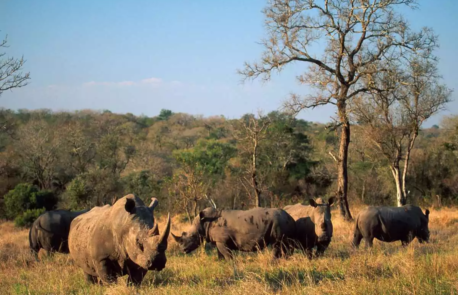 African Welcome Safaris 10