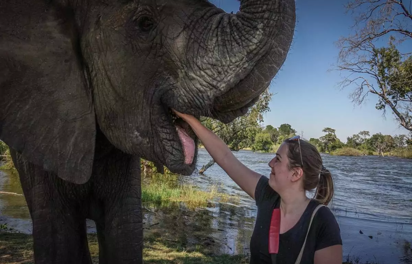 African Welcome Safaris 3