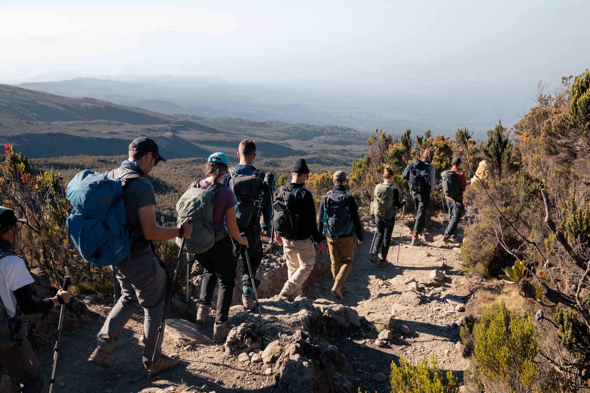 Joyful Safaris and Tours    8