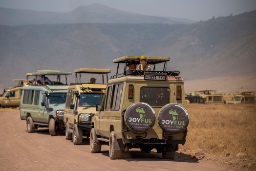 Joyful Safaris and Tours    9