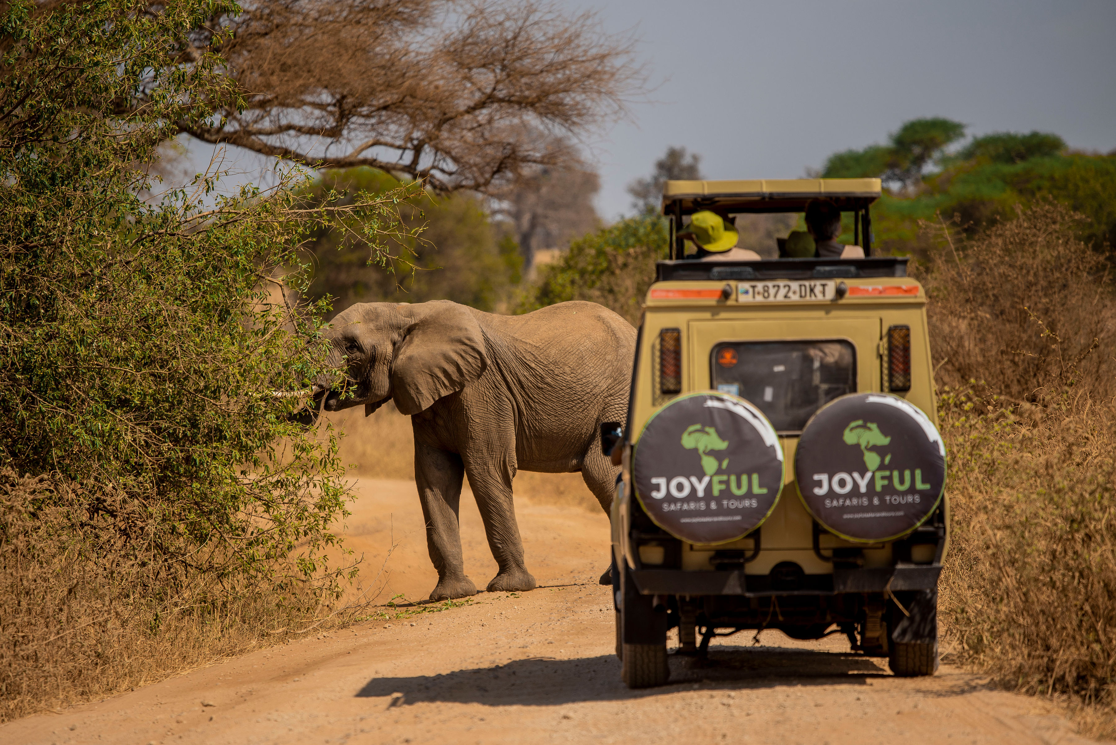 Joyful Safaris and Tours    19