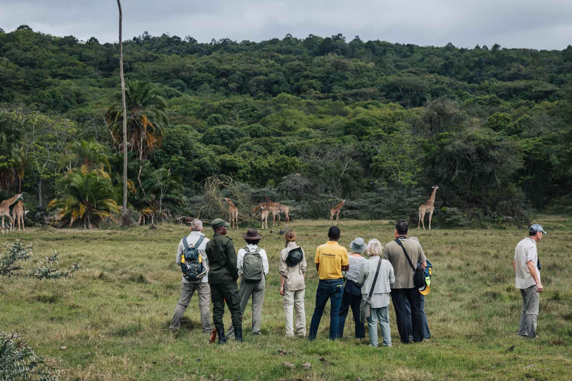 Joyful Safaris and Tours    5