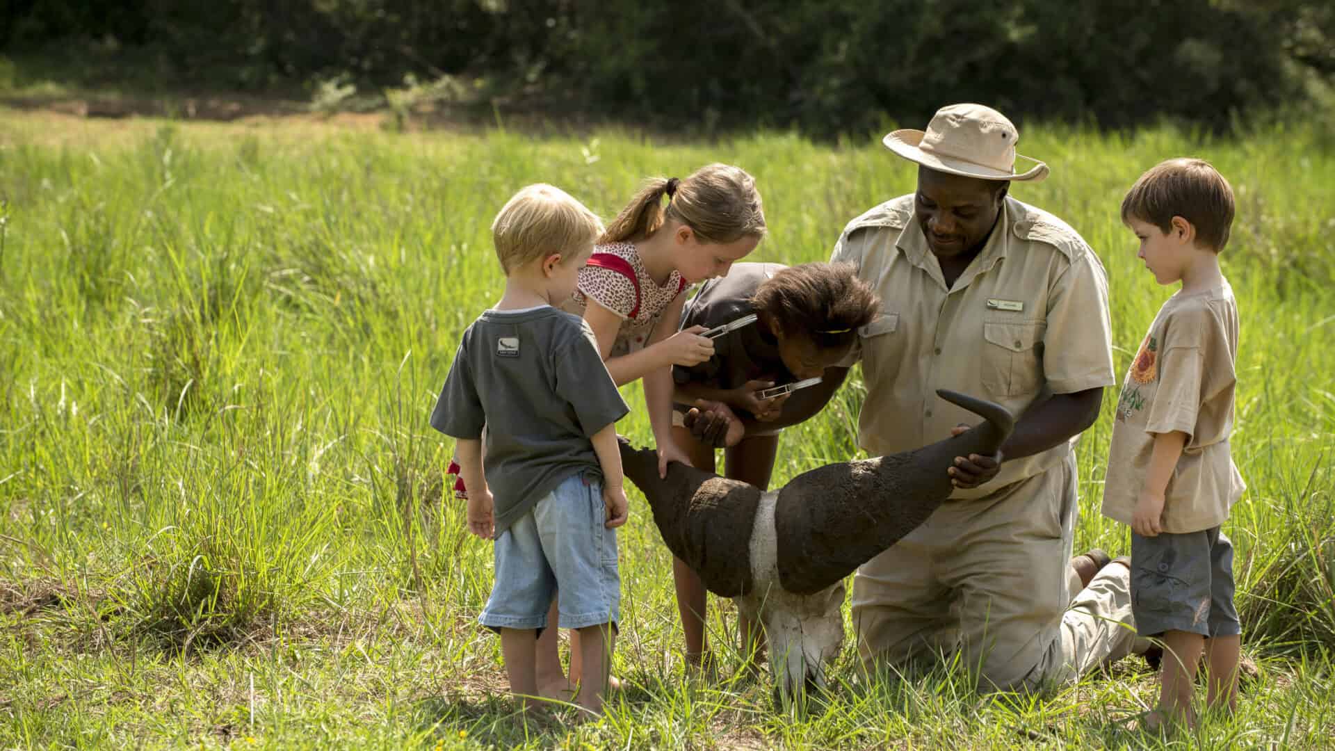 Discover Africa Safaris 1