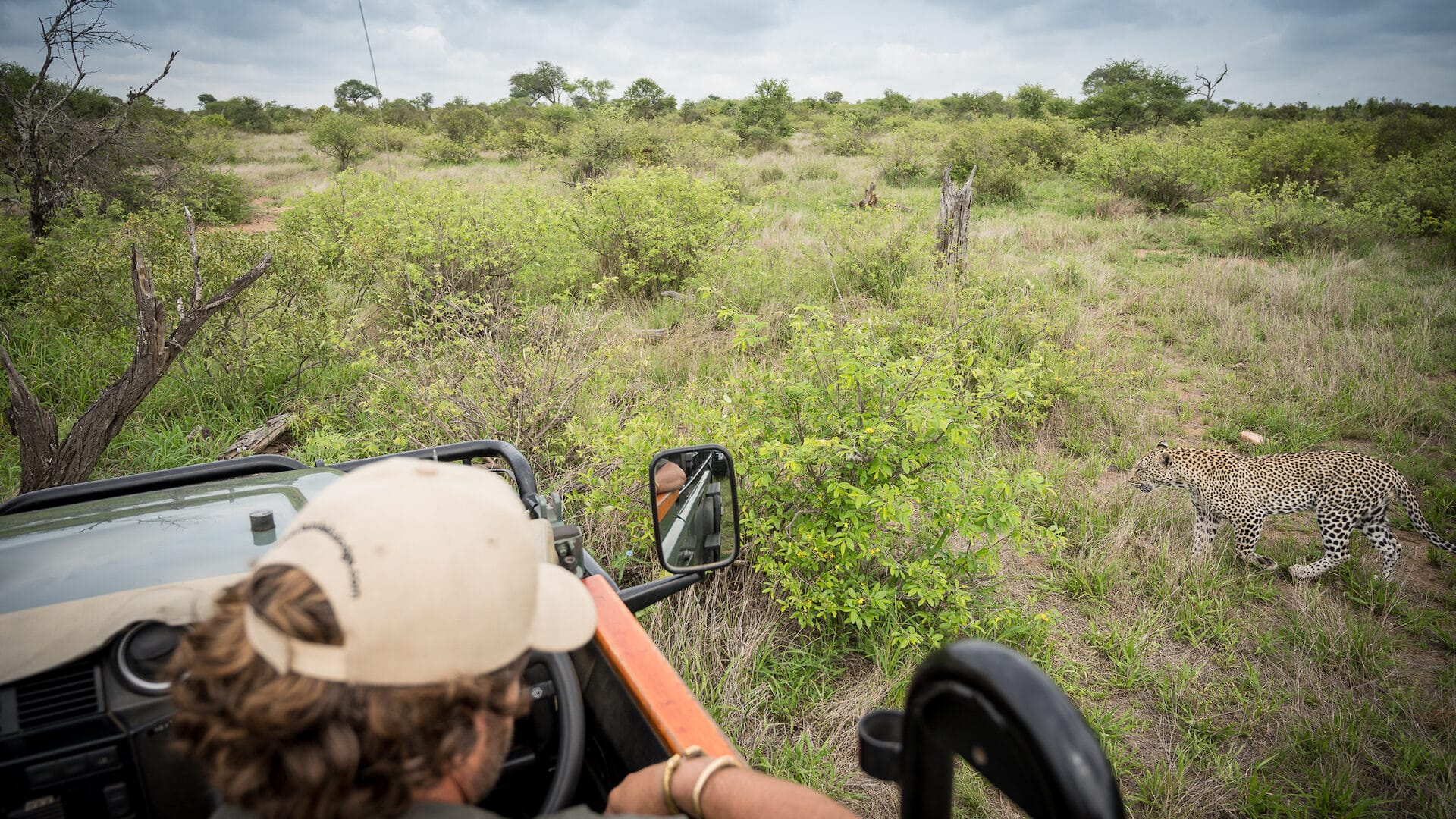 Discover Africa Safaris 3