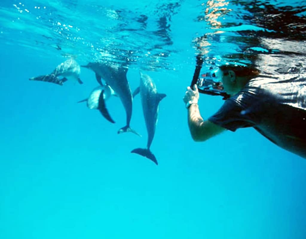 Shengena Adventure 19