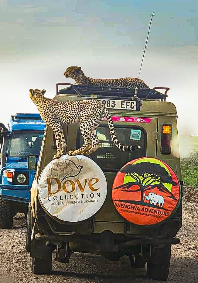 Shengena Adventure 3