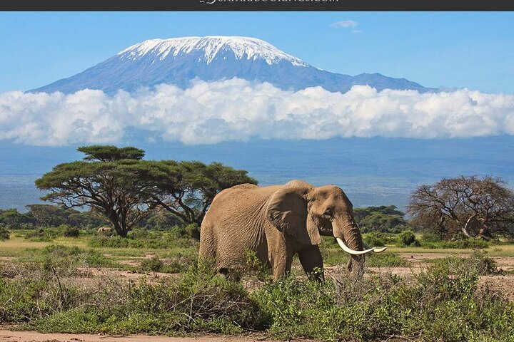 Kenya