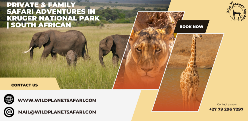 克鲁格国家公园的私人和家庭Safari探险|南非陆上旅游和受欢迎的克鲁格Safari套餐 - Image 1