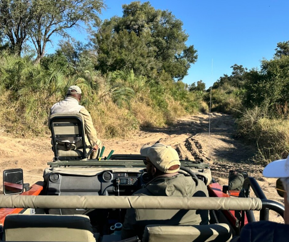 523826788_1280376214098610_2263978756135146823_n