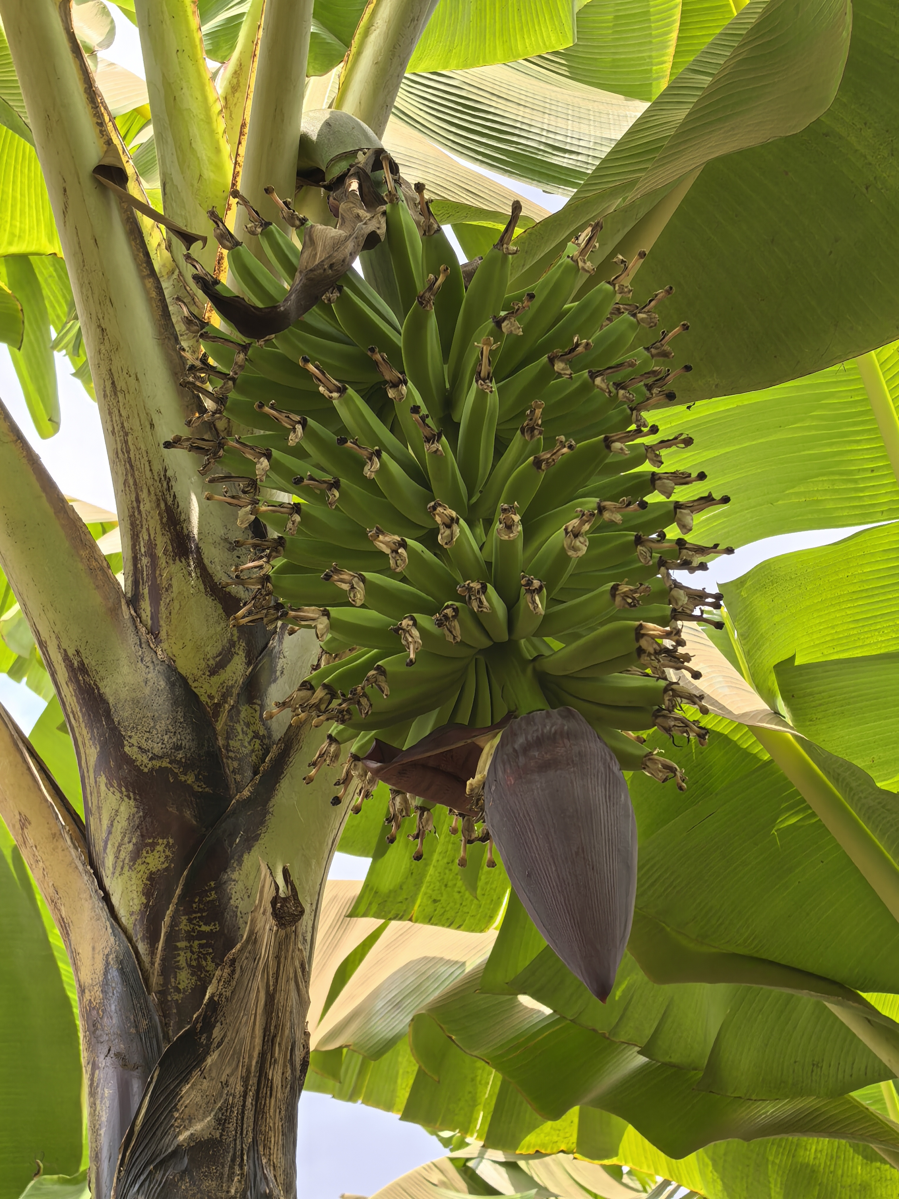 姆图瓦姆布村之旅 - Image 1