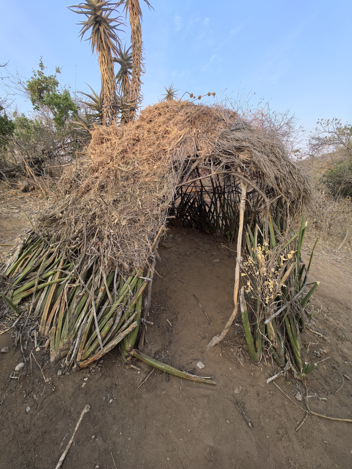 非洲部落——哈扎比族 - Image 2