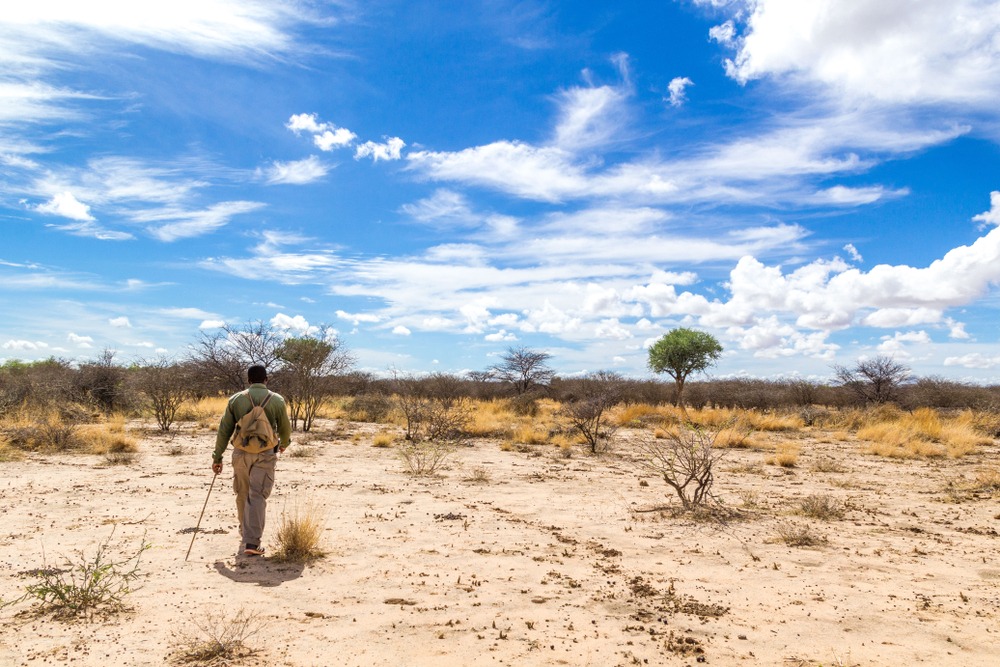 公园之外：更狂野的非洲 - Image 3
