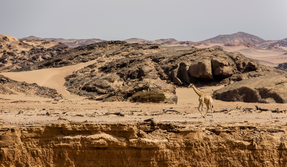 纳米比亚未驯服的精神 - Image 2