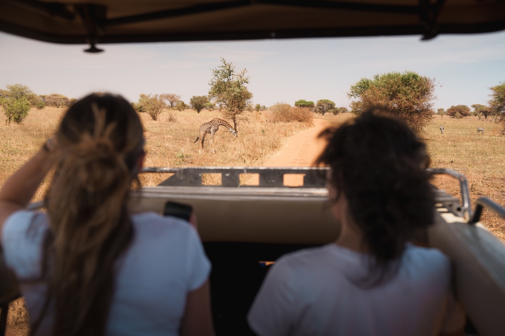 坦桑尼亚旅游指南：你需要知道的一切 - Image 1