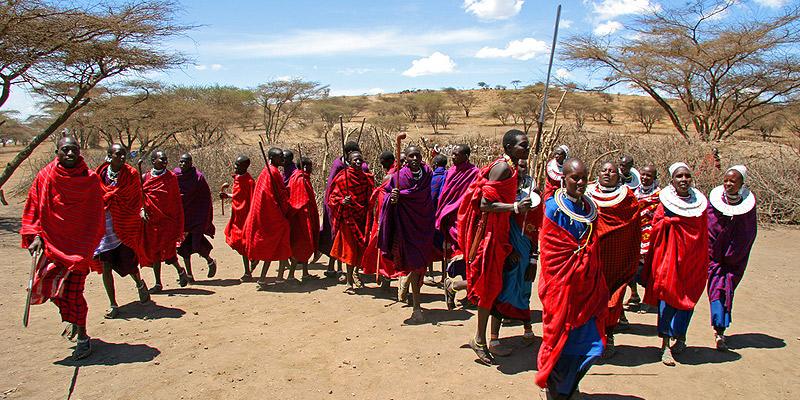 探索坦桑尼亚：每个Safari都成为难忘的故事 - Image 3