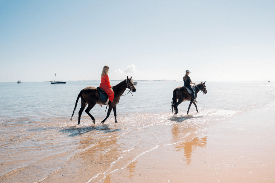 巴扎鲁托群岛：你需要知道的 - Image 1