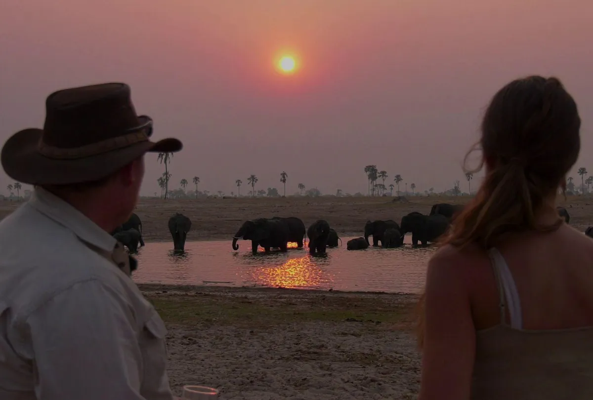woman-and-game-ranger-watching-elephants-drinking-from-waterhole-in-hwange-at-sunset_7377d849afdaaf98a9d8db3bf5dd57e9 (1)
