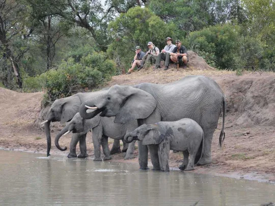 哪个大克鲁格保护区适合您？ - Image 1