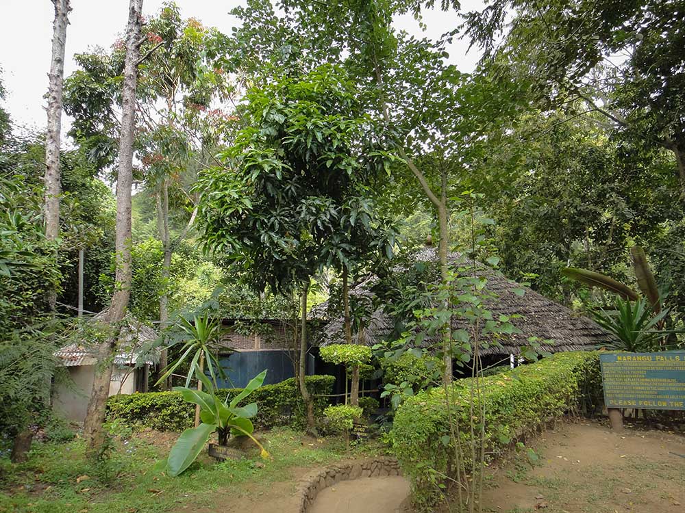 马兰古村文化一日游 - Image 5