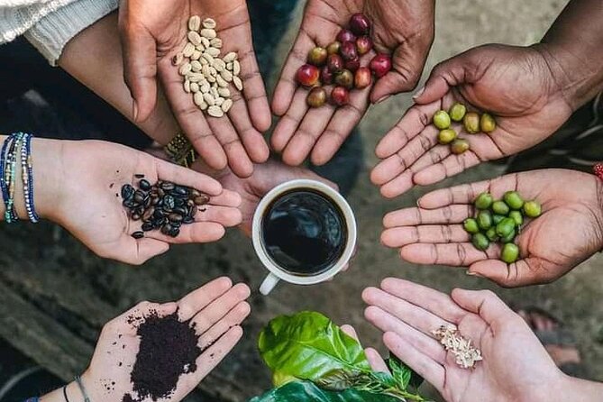 马特鲁尼瀑布一日游 - Image 7