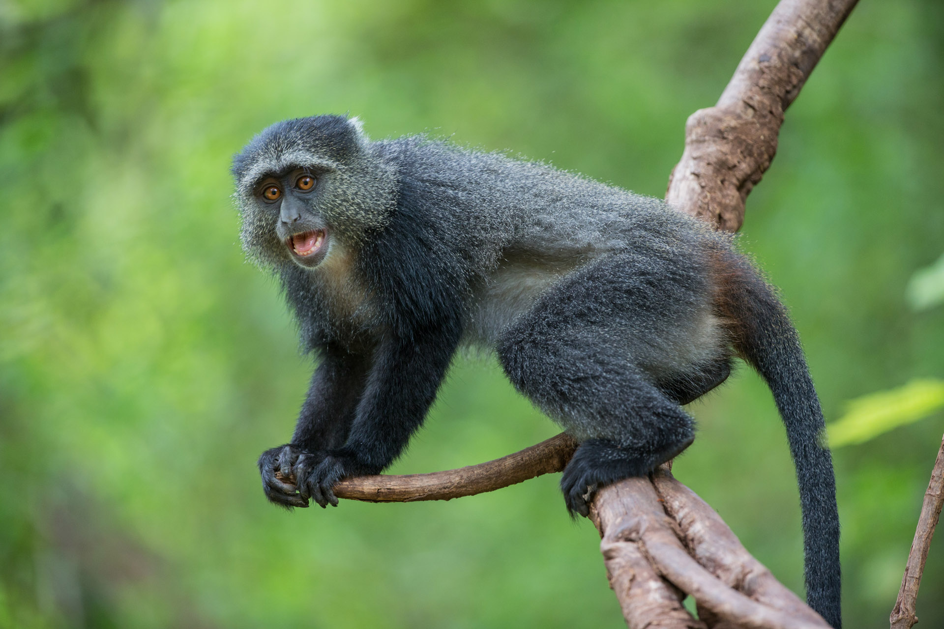 阿鲁沙国家公园一日游 - Image 3