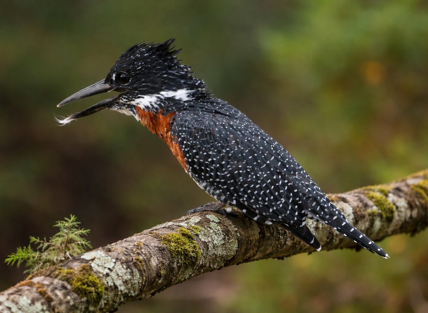 顶级体验和服务。 - Image 1