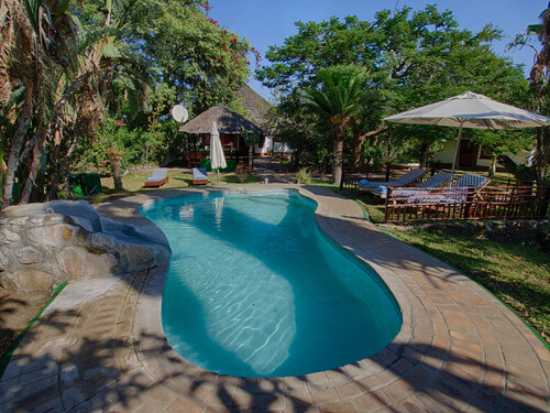 3天树屋旅馆Safari - 2