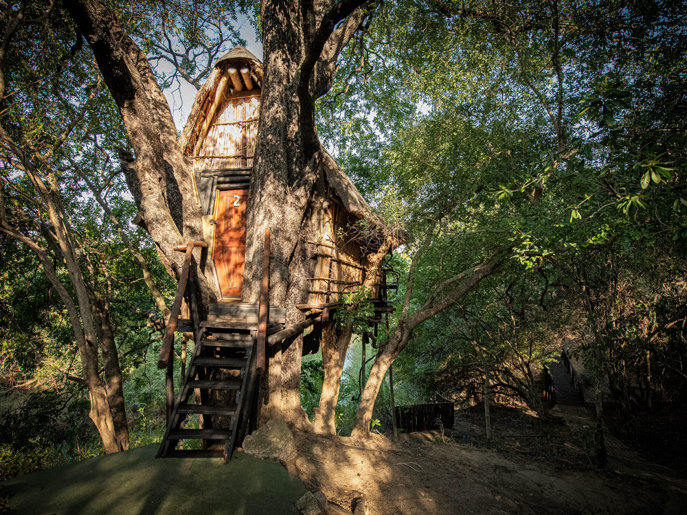 Marc's Treehouse Lodge