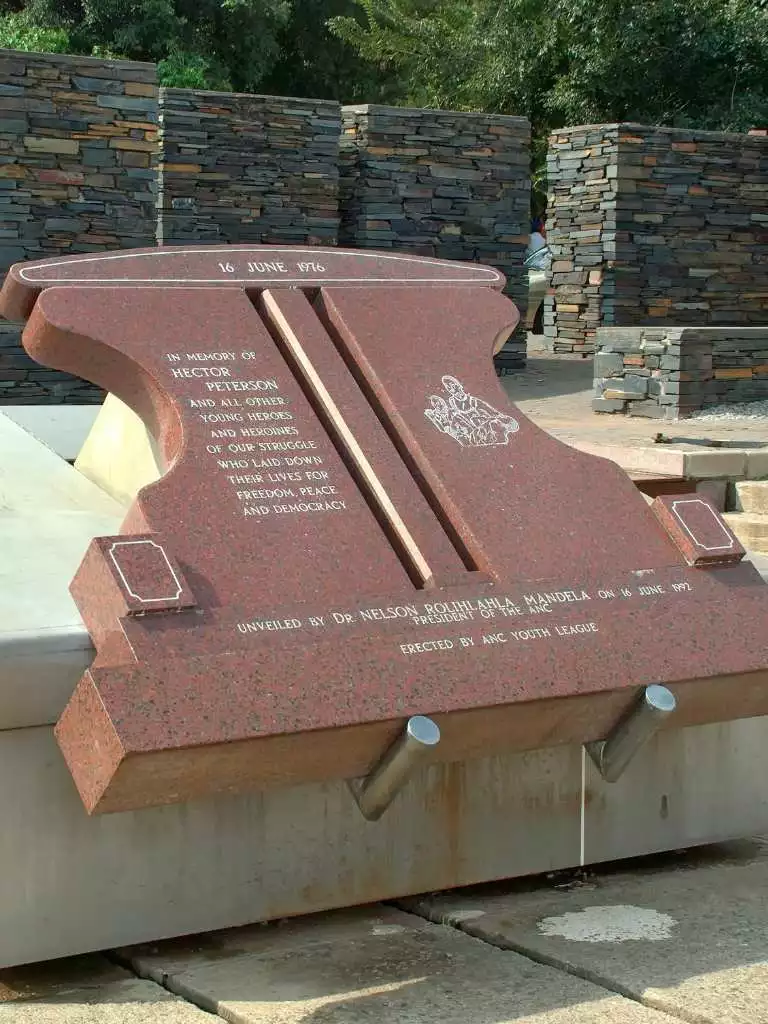 9天南非Safari - 3