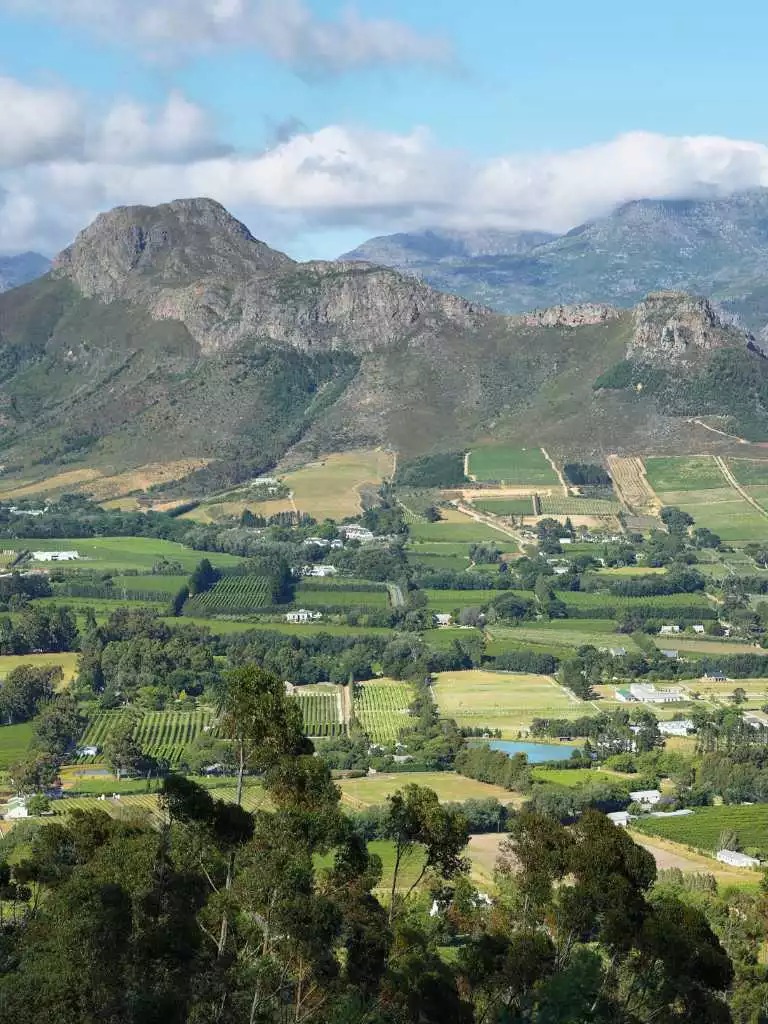 5天开普敦探险之旅 - 2