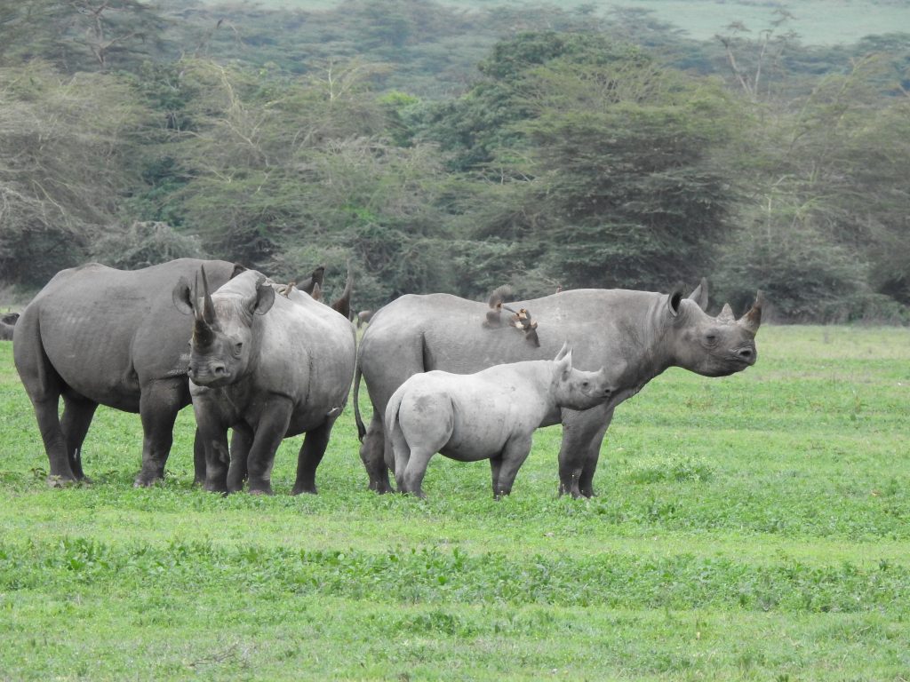 6-Day Explore The Northern Circuit (Luxury Safari)