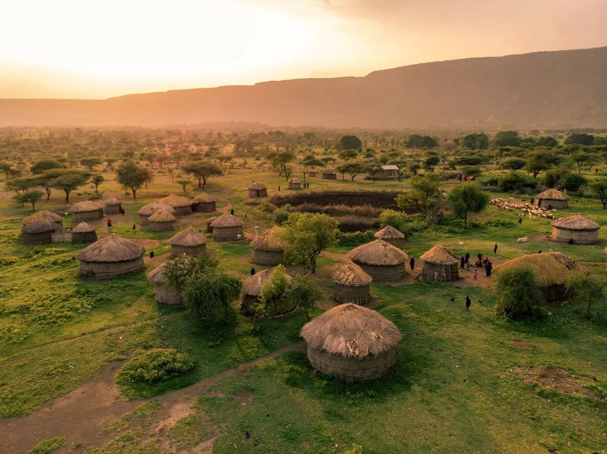 7-Day Signature Great Migration Safari (July to Oct) - 2