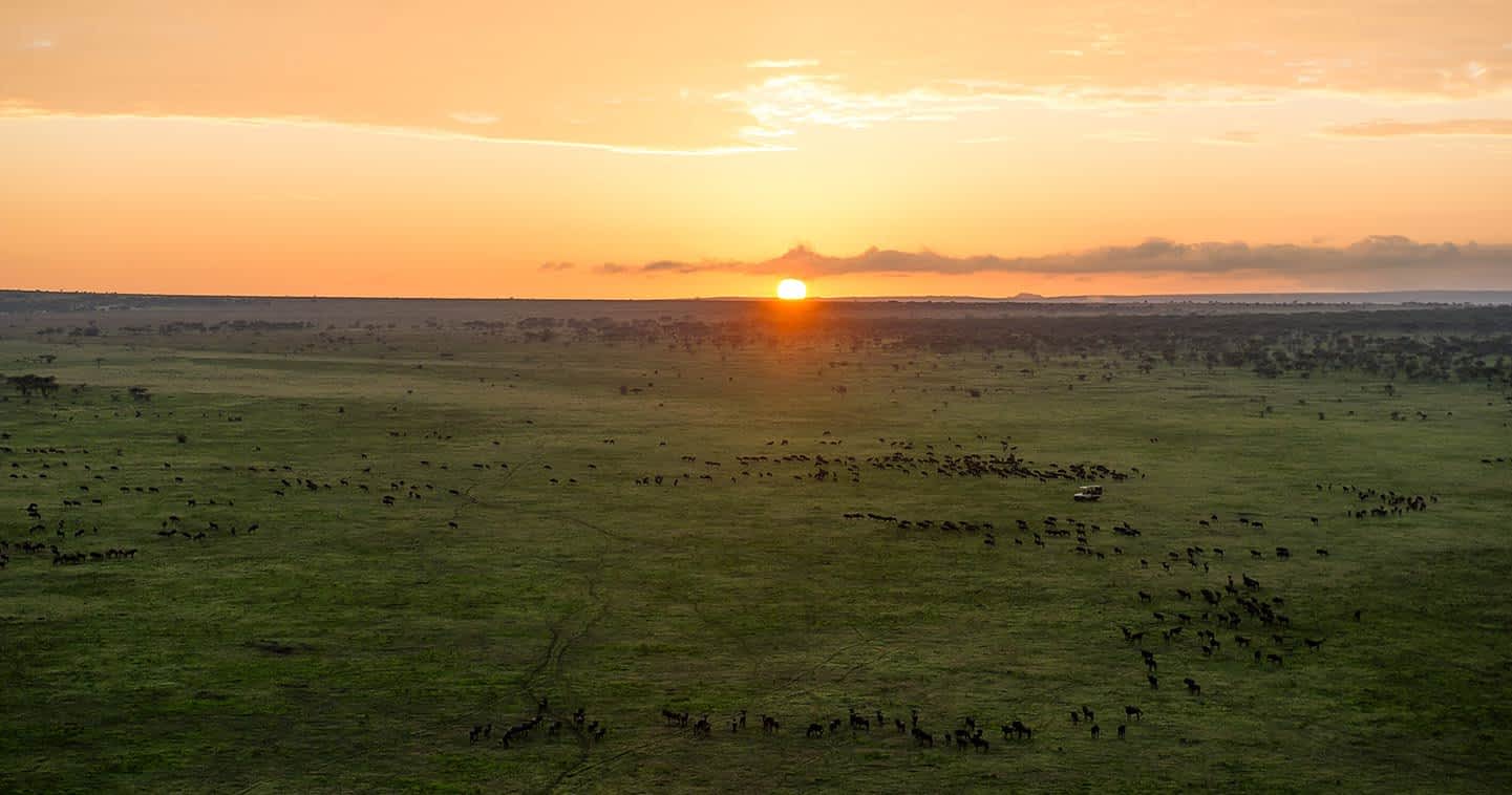 7-Day Green Season Migration Safari - 1