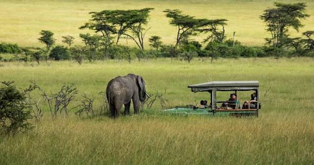 7-Day Luxury & Semi-Luxury African Safari & Great Migration Experience