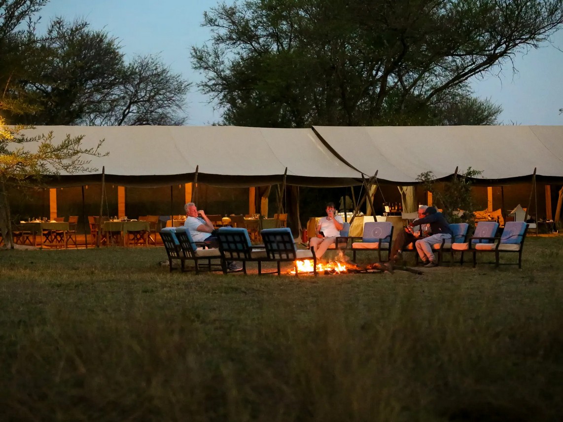 Intimate Camp Zebra