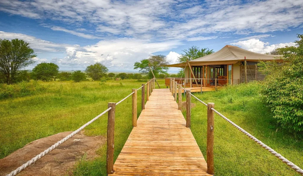 Nyikani Migration Camp
