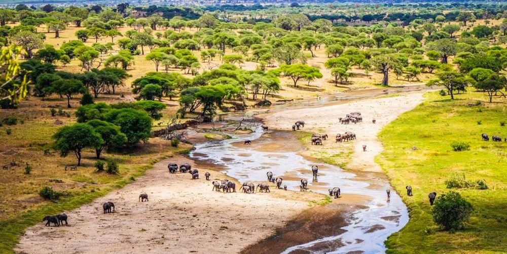 5-Day Luxury Safari Manyara, Serengeti And Ngorongoro Crater - 2