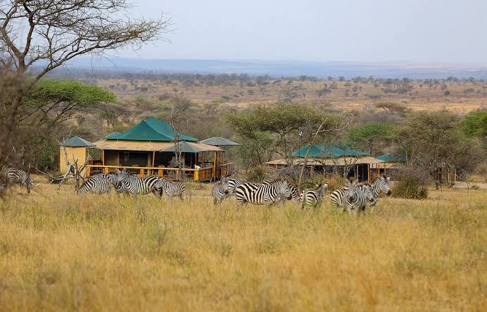 Serengeti Sound of Nature Camp