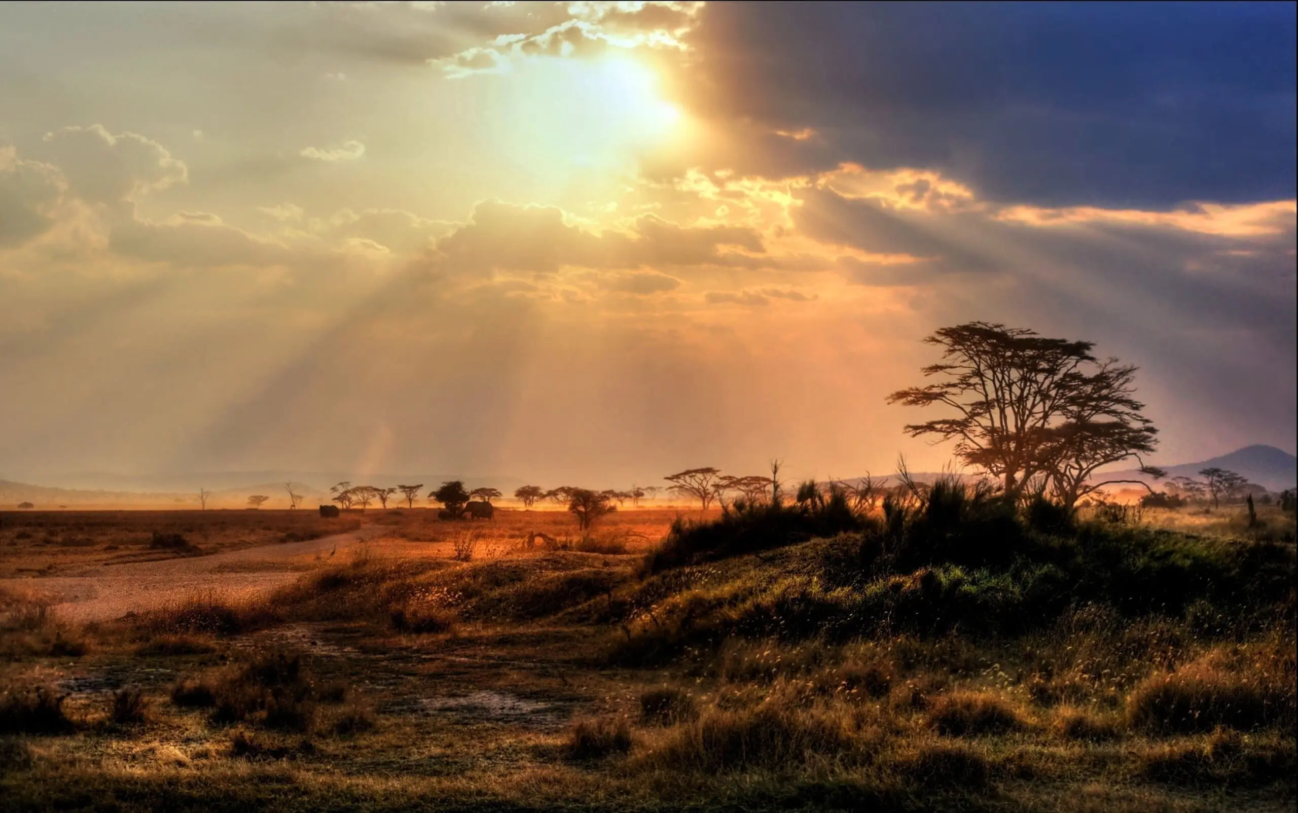 6-Day Ultimate Tanzania Safari Experience. - 2