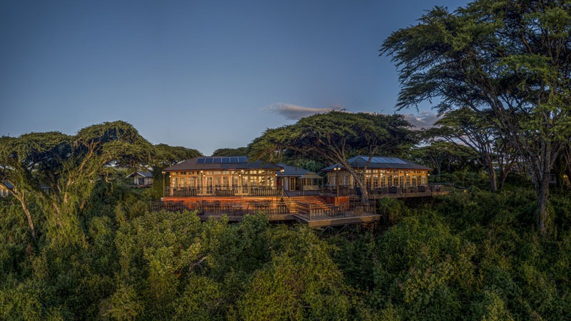Ngorongoro Lion's Paw