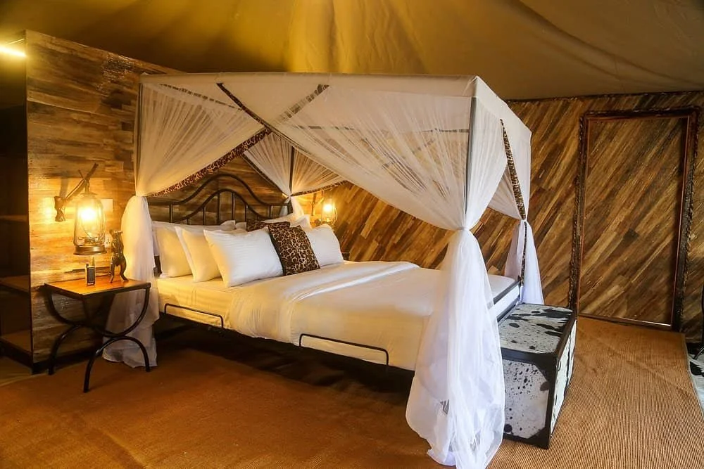Serengeti Sound of Nature Camp