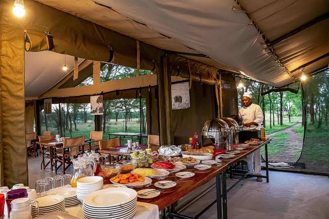 Serengeti Kati Kati Camp