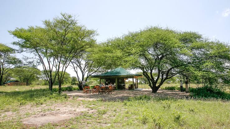 Manyara Ranch Campsite