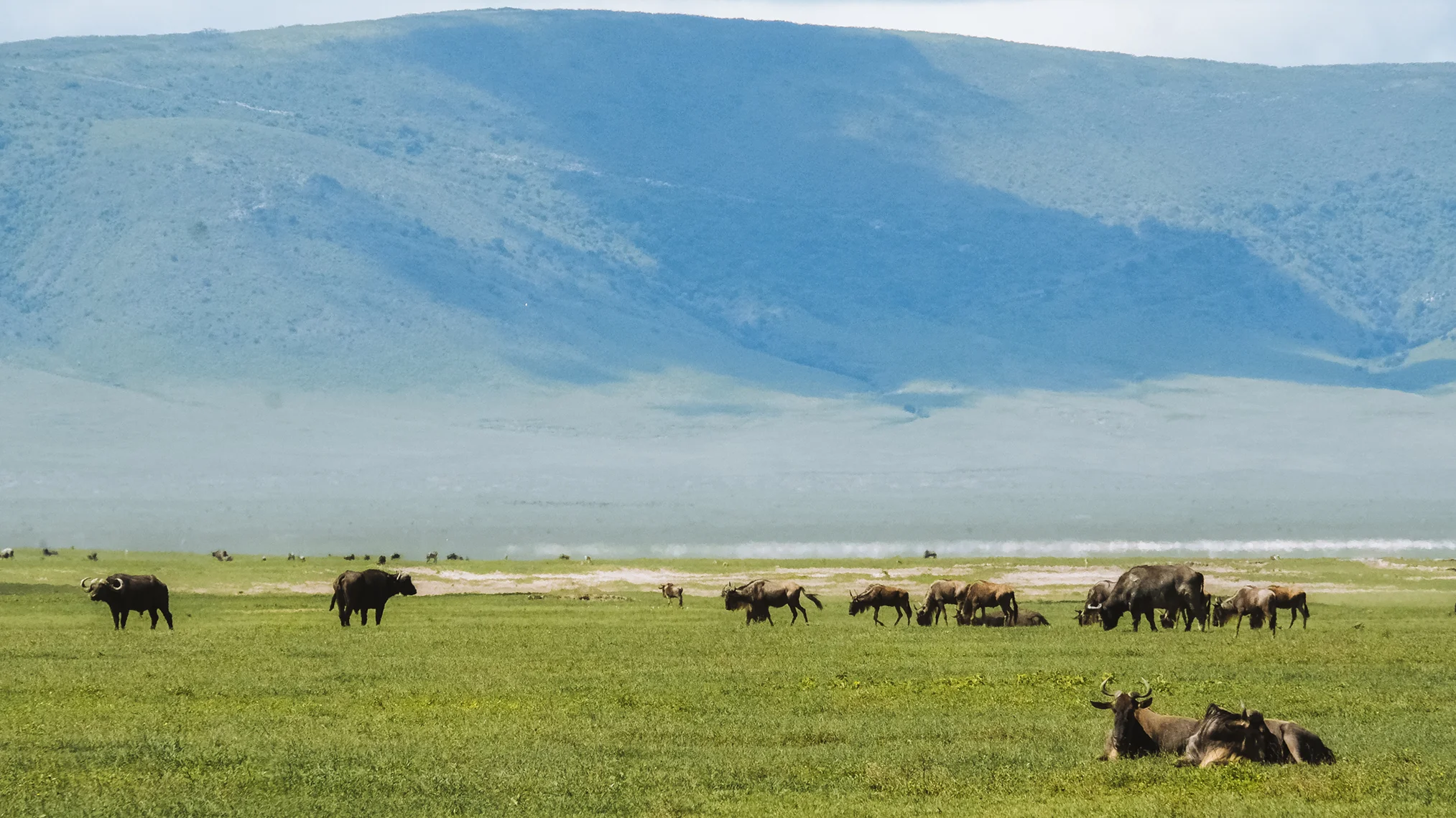 6-Day Explore The Northern Circuit (Luxury Safari) - 2