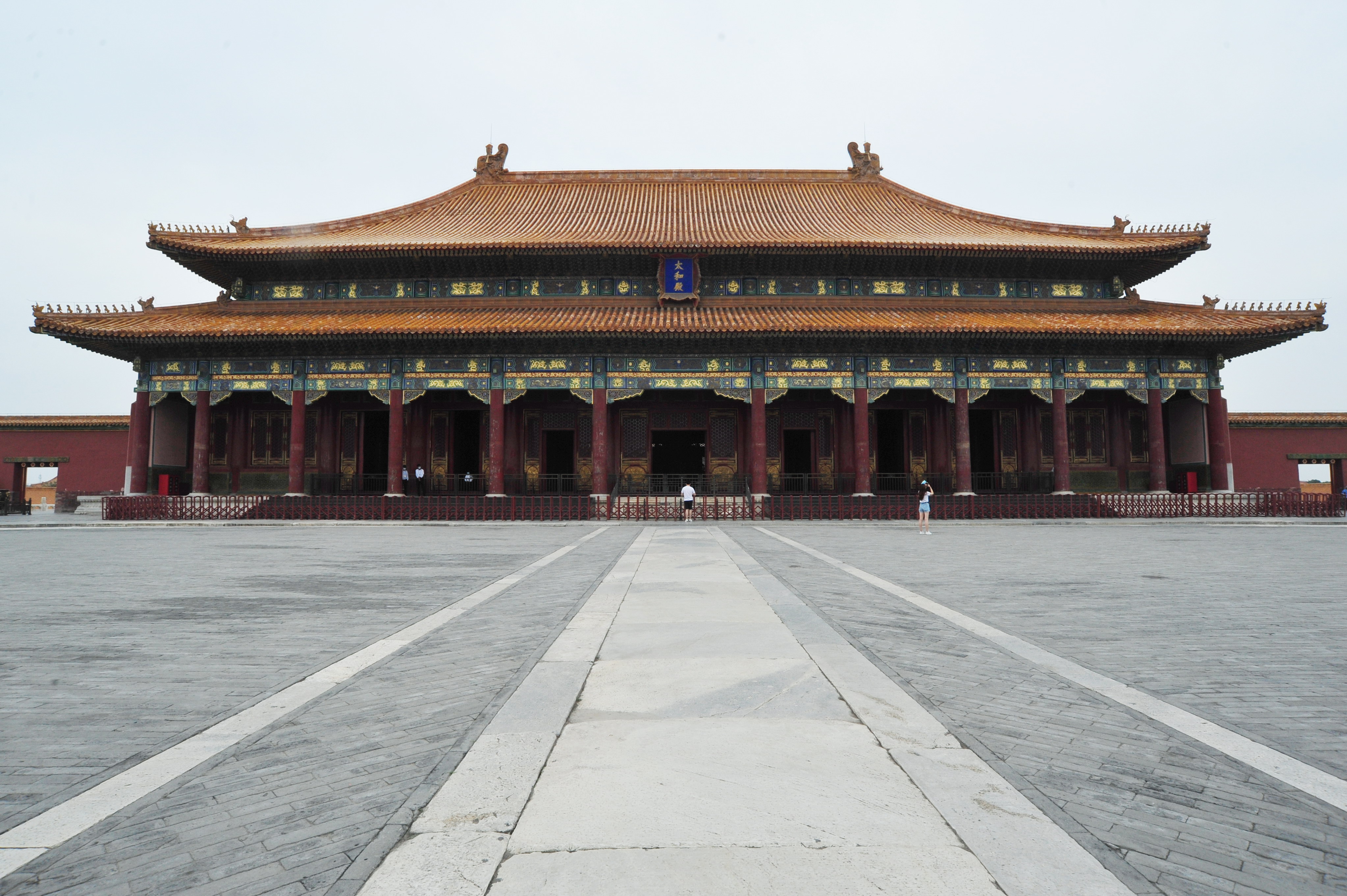 Wild China - 3